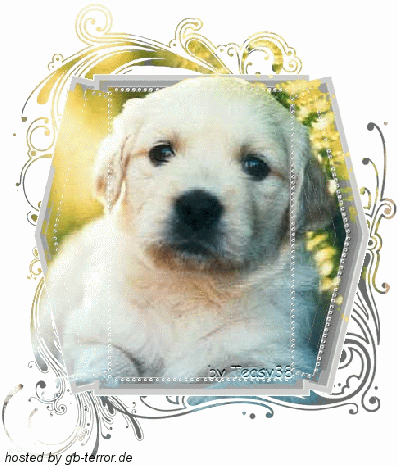 Donnerstag GB Eintrag