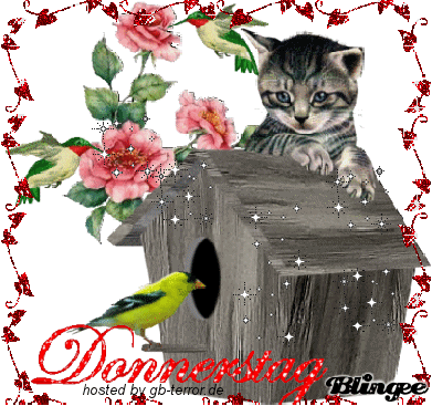 Donnerstag GB Eintrag