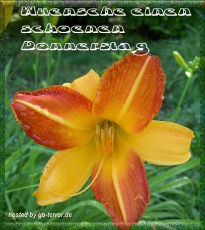 Donnerstags Gaestebuchbild