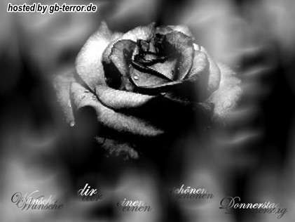 Donnerstagsgruss GB Bild