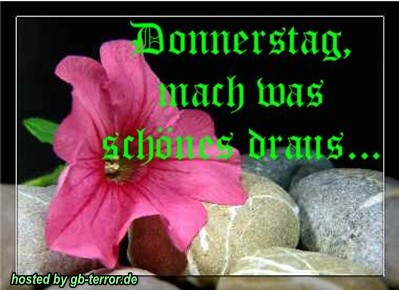 Gaestebuchbild Donnerstag