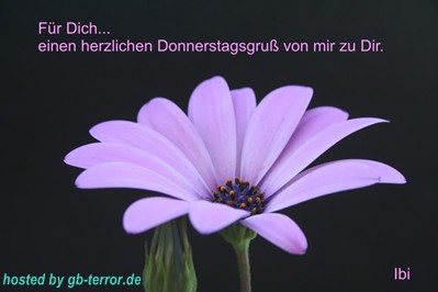 Gaestebuchbild Donnerstag