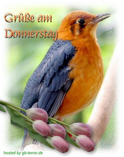 Gaestebuchbild Donnerstag