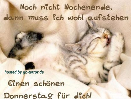 GB Eintrag Donnerstag