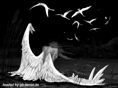 Engel - Elfen GB Bild