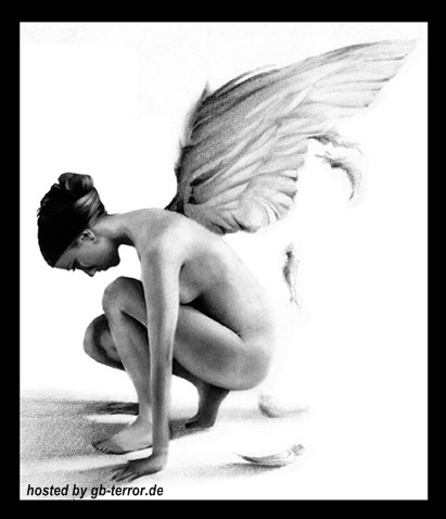 Engel - Elfen GB Bild