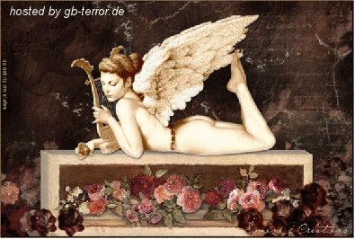 Engel - Elfen GB Bild