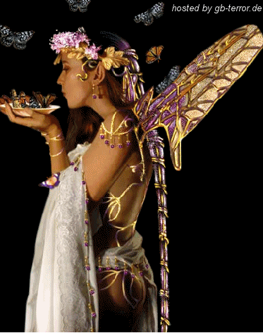 Engel - Elfen GB Bild