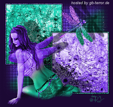 Engel - Elfen GB Bild