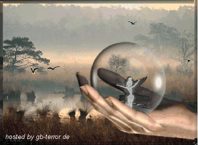 Engel - Elfen GB Bild