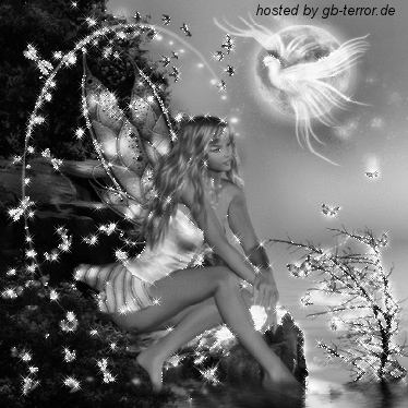 Engel - Elfen GB Bild