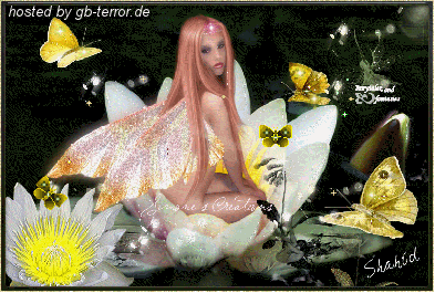 Engel - Elfen GB Pic