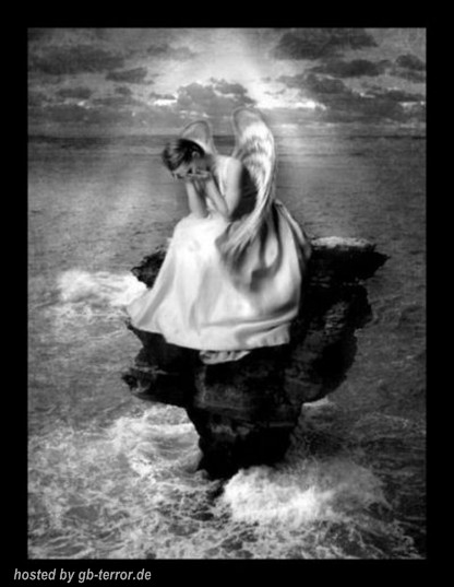 Engel und Elfen Gaestebuchbild