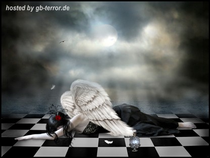 Engel und Elfen Gaestebuchbild