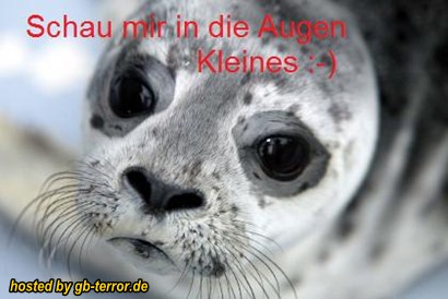 Anmachspruch Flirten GB