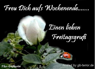 Freitag Gaestebuchbild