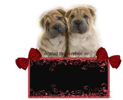 Freitag Gaestebuchbild