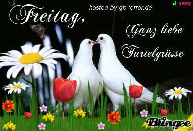 Freitag Gaestebuchbild