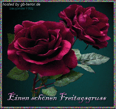 Freitag Gaestebuchbild