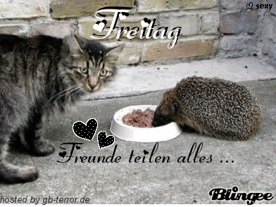 Freitag GB-Pic