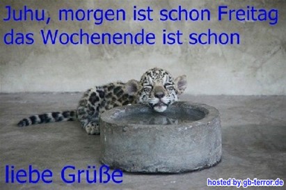 Freitag GB Bild