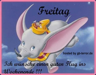 Freitag GB Bild