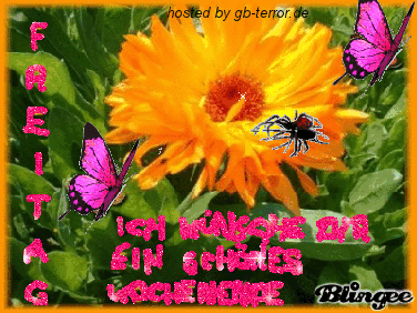 Gaestebuchbild Freitag