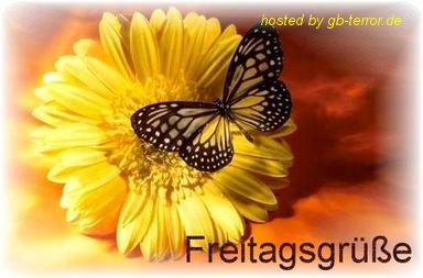 Gaestebuchbild Freitag