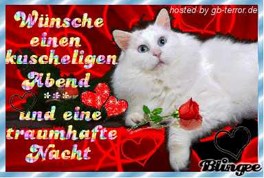 Abend Gruss Bild Animiert