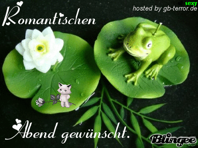 Animiertes Guten Abend GB Pic