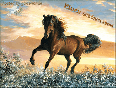 Schoenen Abend GB Pic Animiert