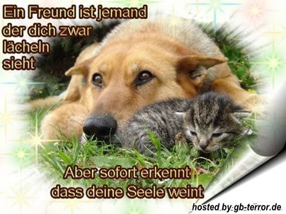 Freunde GB-Bild