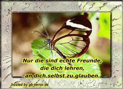Gaestebuchbild Freundschaft