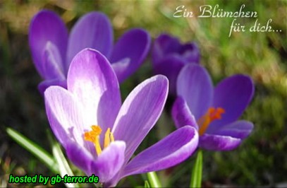 Fuer Dich GB Eintrag