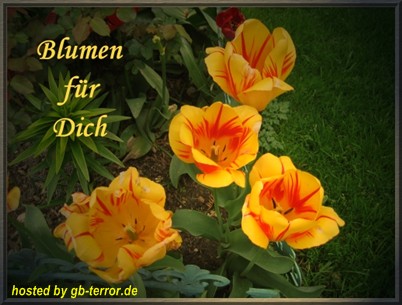 GB Eintrag Fuer Dich