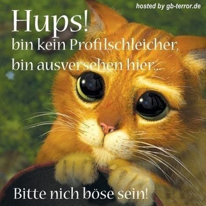 GB Spruch
