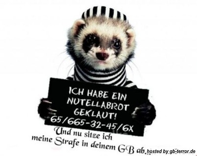 GB Spruch