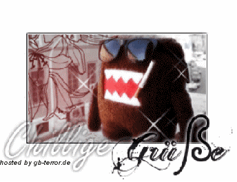 Gaestebuchbild Chillige Gruesse