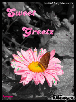 Gaestebuchbild Gruesse