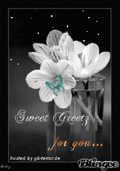 GB Bild Sweet Greetz