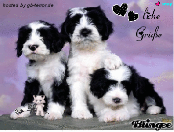 Herzliche Gruesse Gaestebuchbild