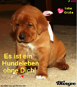 Gruesse Gaestebuchbild