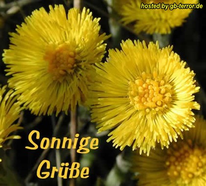 Sonnige Gruesse GB Bild