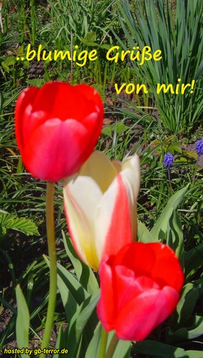 Blumige Gruesse GBPic