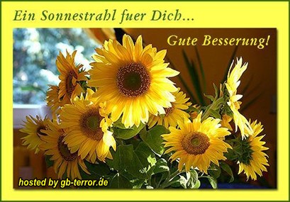 GB Bild Gute Besserung