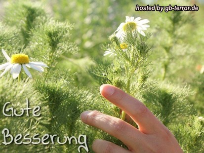 Gute Besserung GB Pic