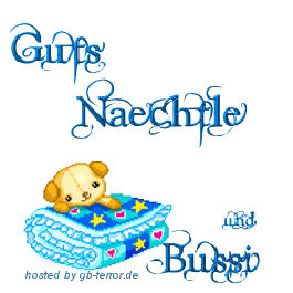 Gaestebuchbild Gute Nacht