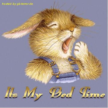 Gaestebuchbild Gute Nacht