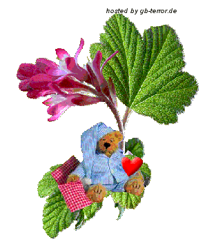 Gaestebuchbild Gute Nacht