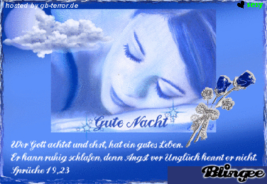 Gästebuchbild Gute Nacht